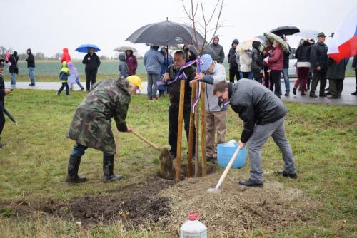 Sázení lípy - oslavy 100 let republiky